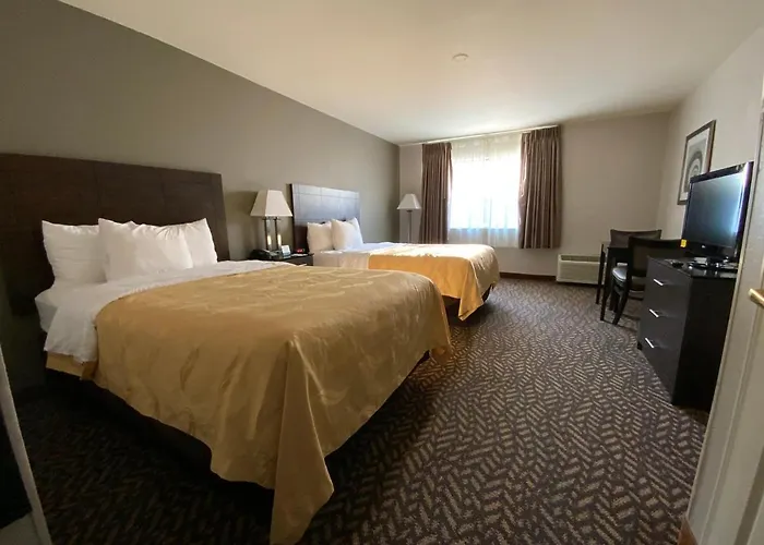 Quality Inn & Suites University-Airport