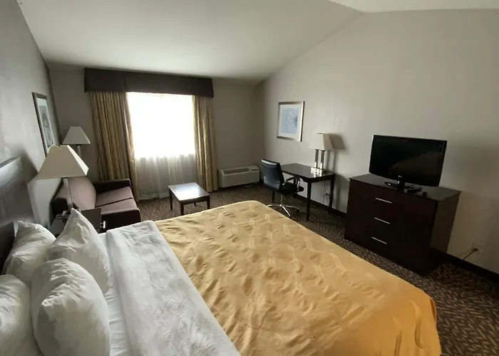 Quality Inn & Suites University-Airport